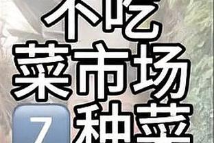 开云电竞app注册流程